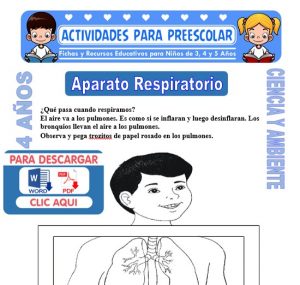 Ficha de Aparato Respiratorio para Niños de 4 Años