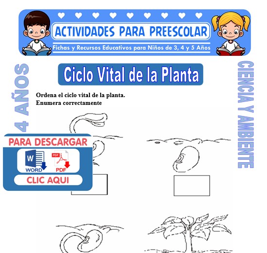 Ficha de Ciclo Vital de la Planta para Niños de 4 Años