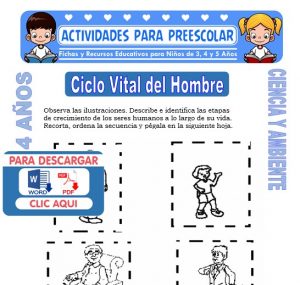 Ficha de Ciclo Vital del Hombre para Niños de 4 Años