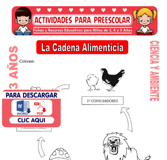 Ficha de La Cadena Alimenticia para Niños de 3 Años