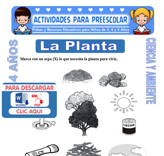 Ficha de La Planta para Niños de 4 Años