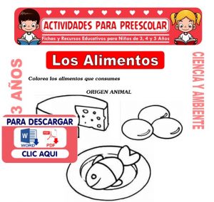 Ficha de Los Alimentos para Niños de 3 Años