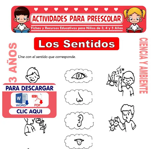 Ficha de Los Sentidos para Niños de 3 Años