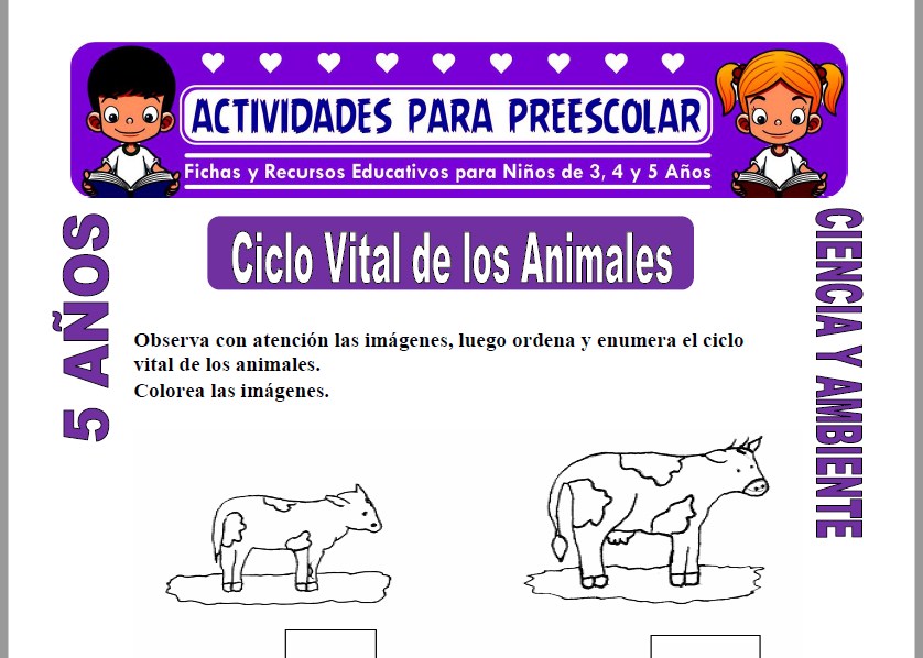 Modelo de la Ficha de Ciclo Vital de los Animales para Niños de 5 Años