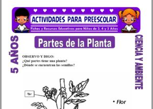 Modelo de la Ficha de Partes de la Planta para Niños de 5 Años